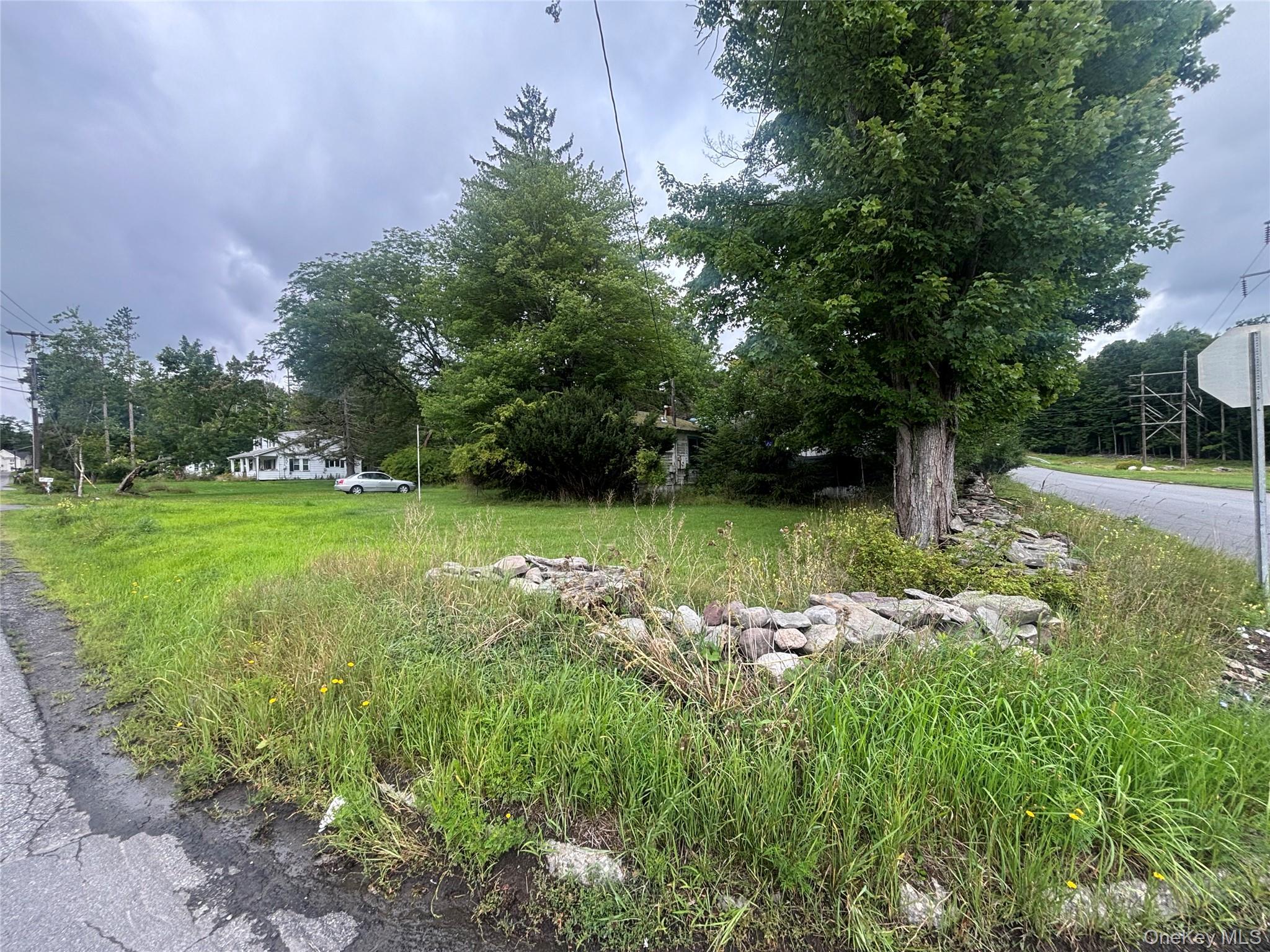 Single Family Katrina Falls Road  Sullivan County, NY 12775, MLS-1036851-12