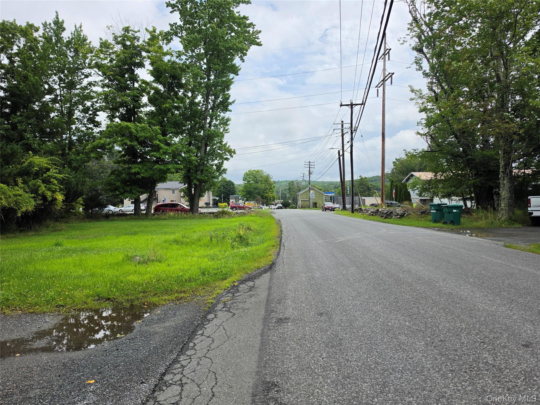 Single Family Katrina Falls Road  Sullivan County, NY 12775, MLS-1036851-13