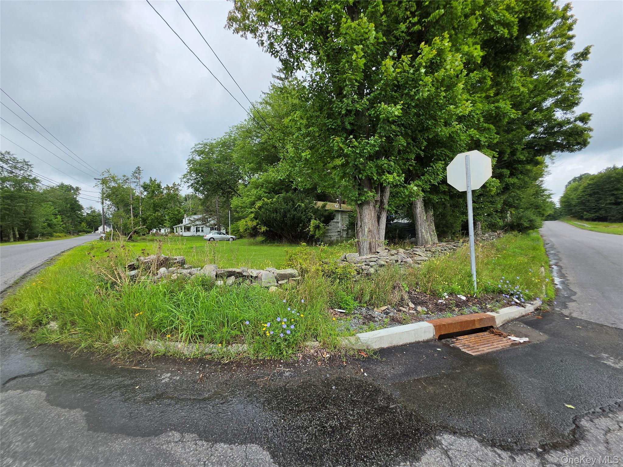 Single Family Katrina Falls Road  Sullivan County, NY 12775, MLS-1036851-14