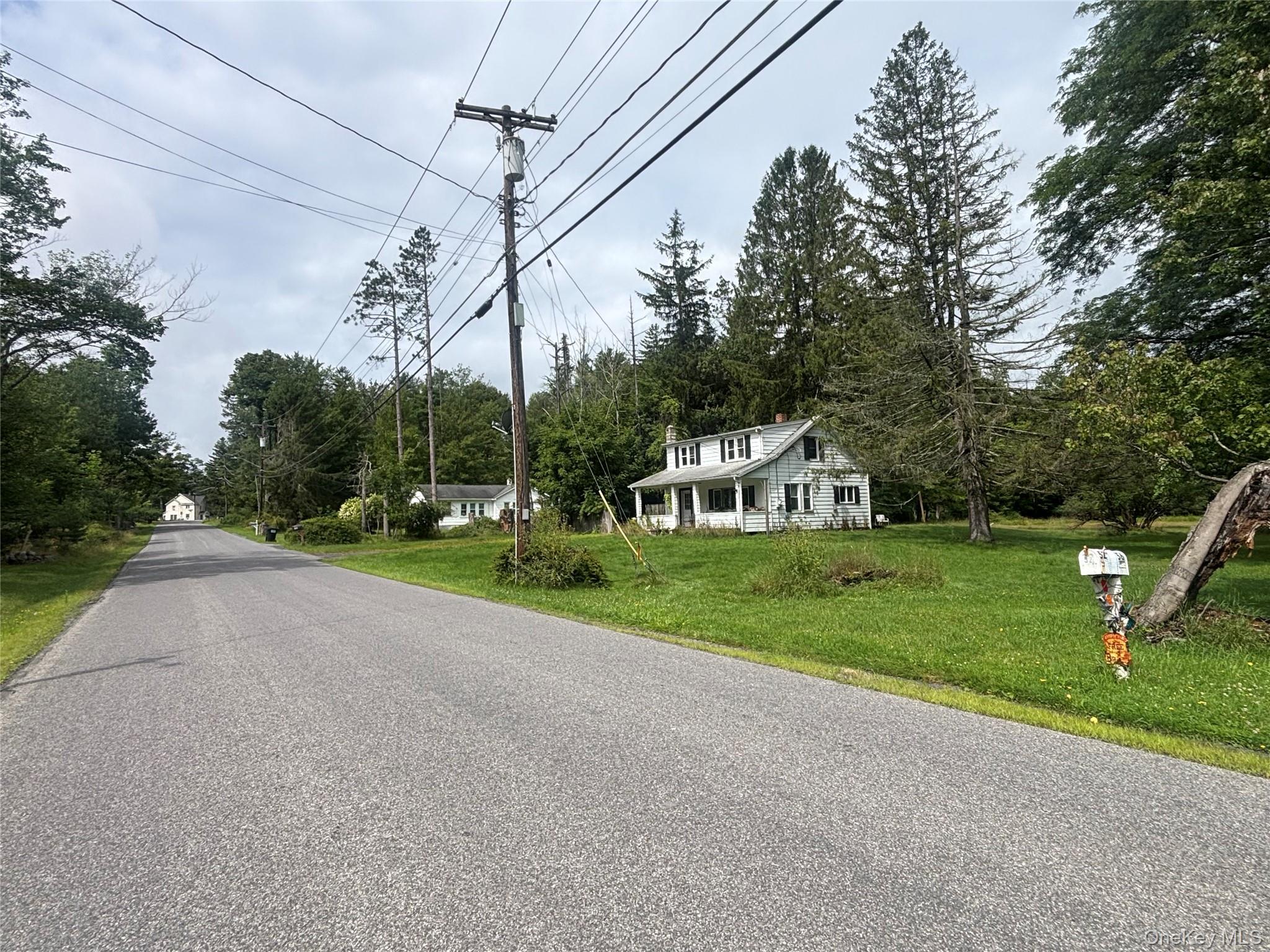 Single Family Katrina Falls Road  Sullivan County, NY 12775, MLS-1036851-4