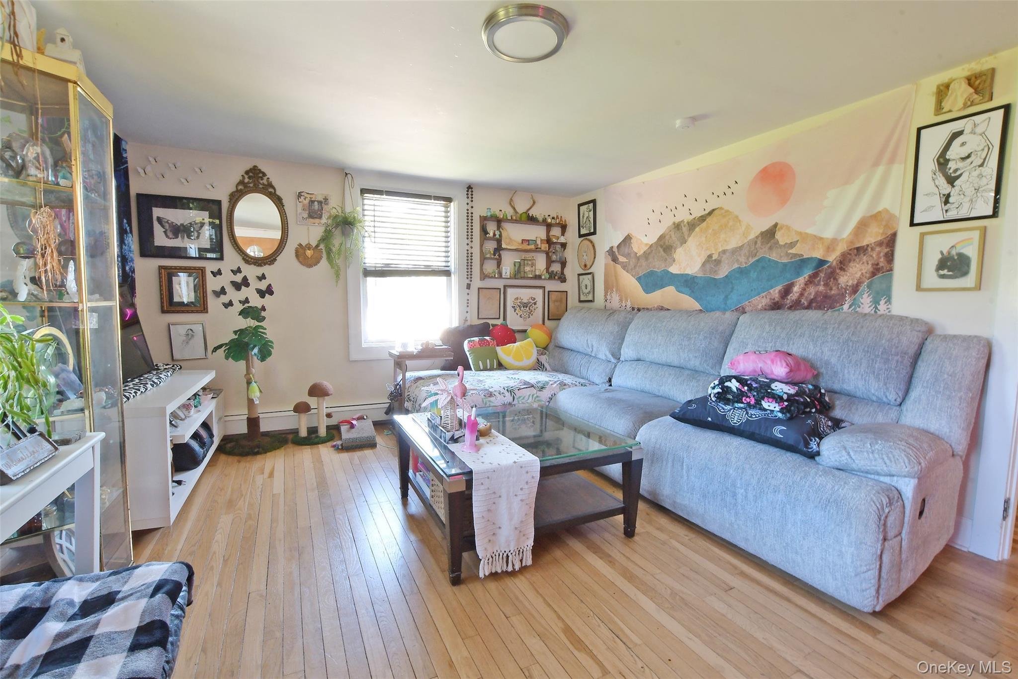 Single Family Marcy Avenue  Suffolk County, NY 11901, MLS-1036857-2