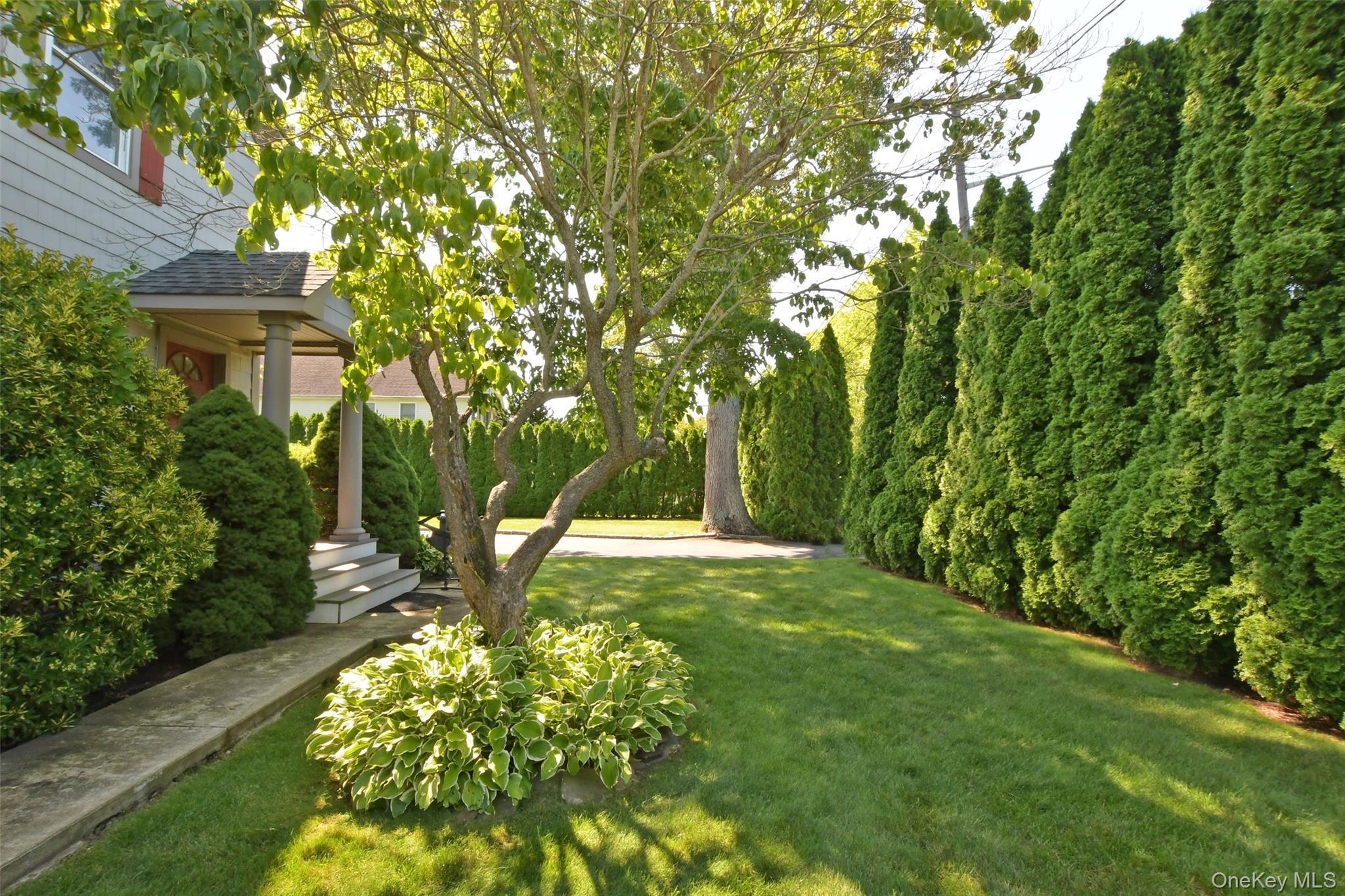 Single Family Marcy Avenue  Suffolk County, NY 11901, MLS-1036857-24