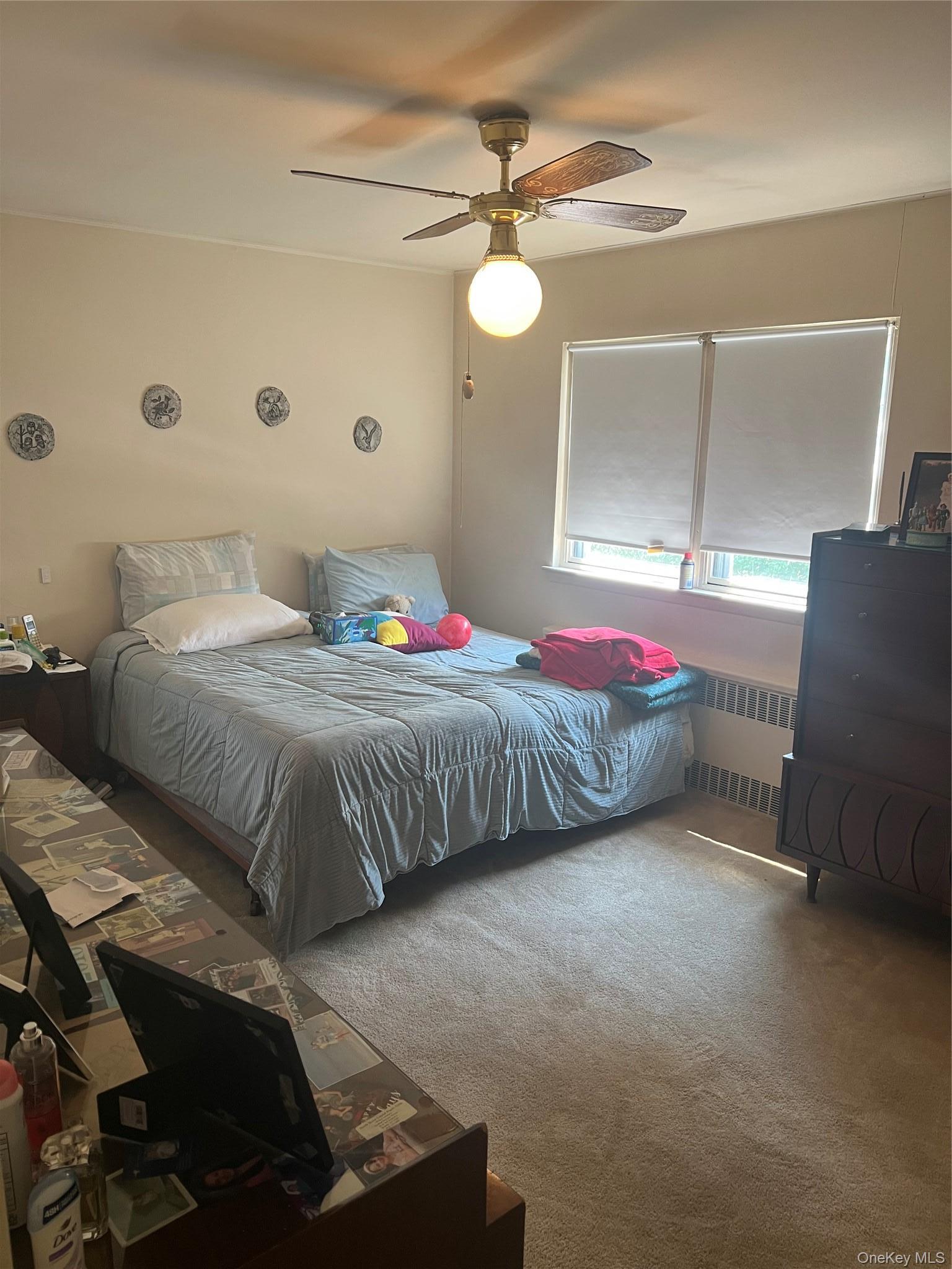 Single Family 248th Street  Queens, NY 11363, MLS-1036899-13