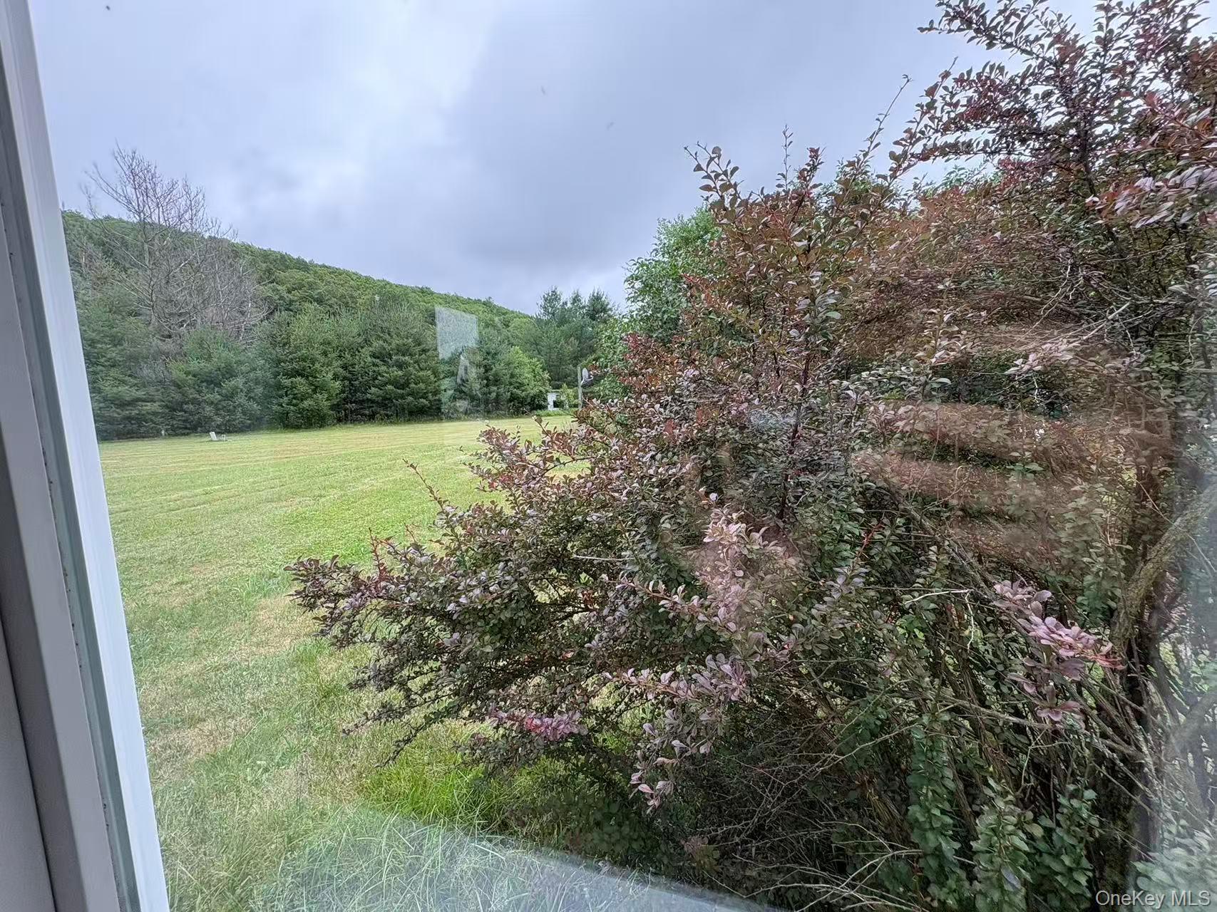 Single Family Pine Drive  Sullivan County, NY 12789, MLS-1036902-4
