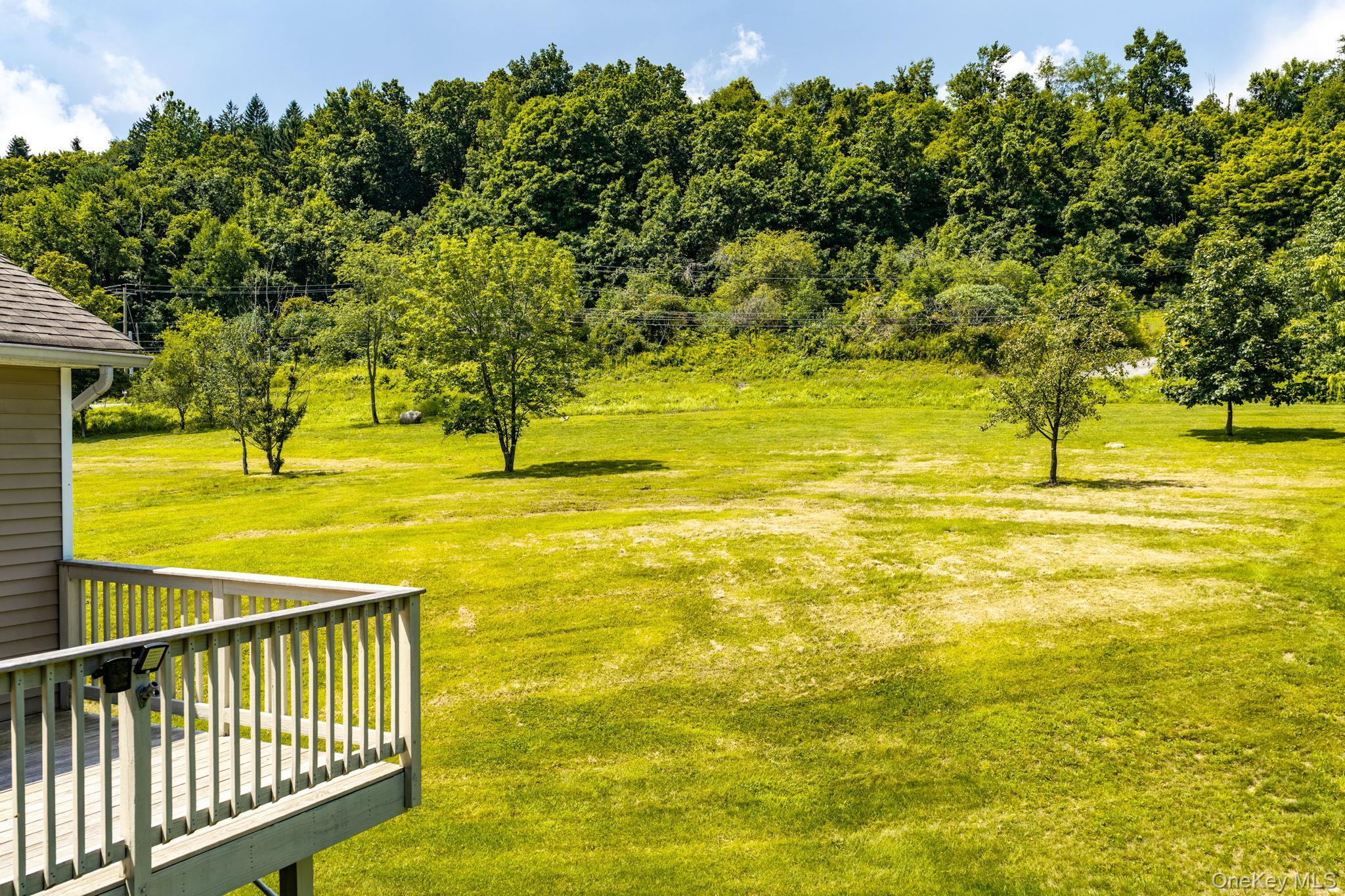 Single Family Springbrook Road  Orange County, NY 12771, MLS-1036947-39