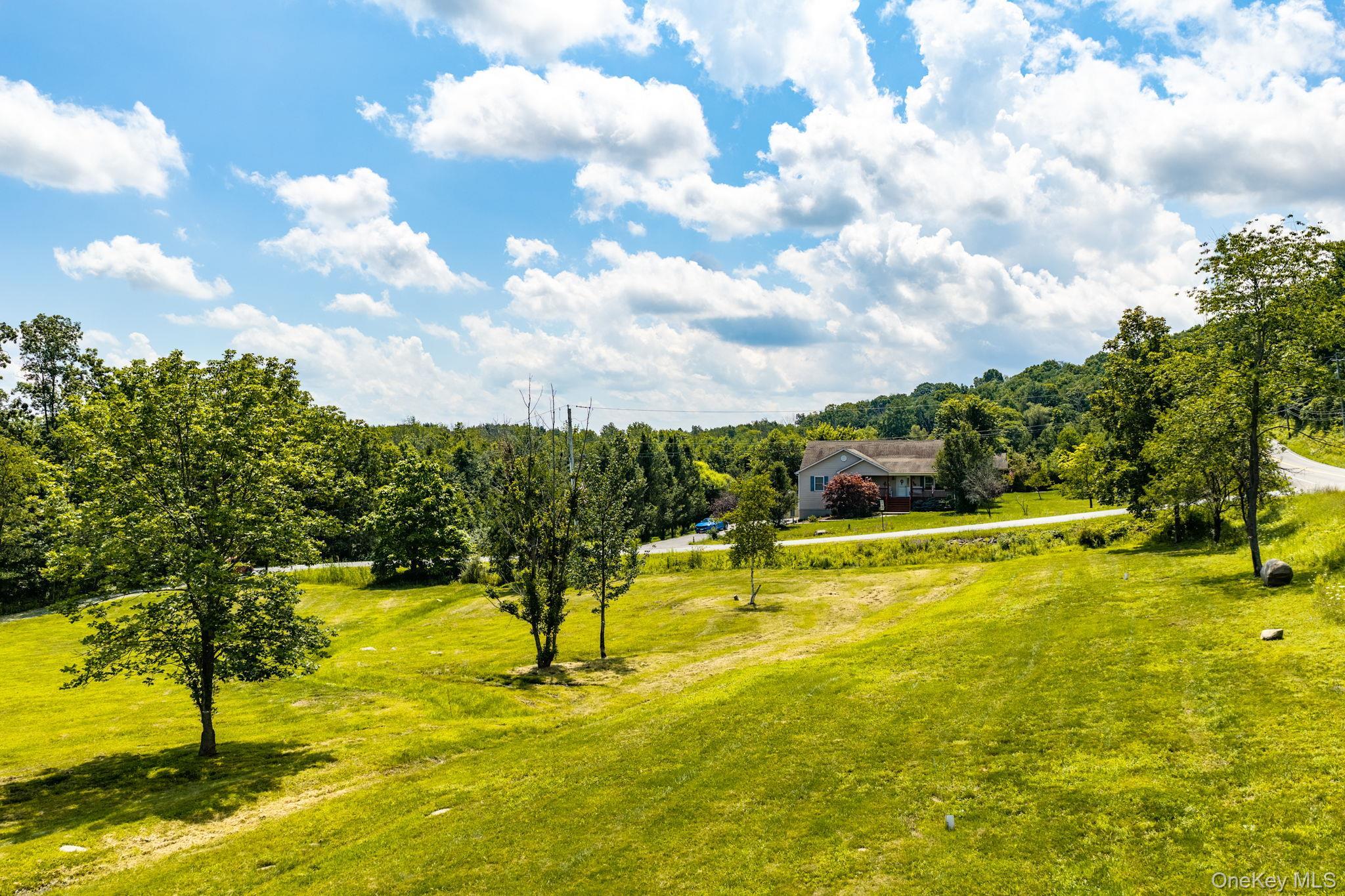 Single Family Springbrook Road  Orange County, NY 12771, MLS-1036947-40