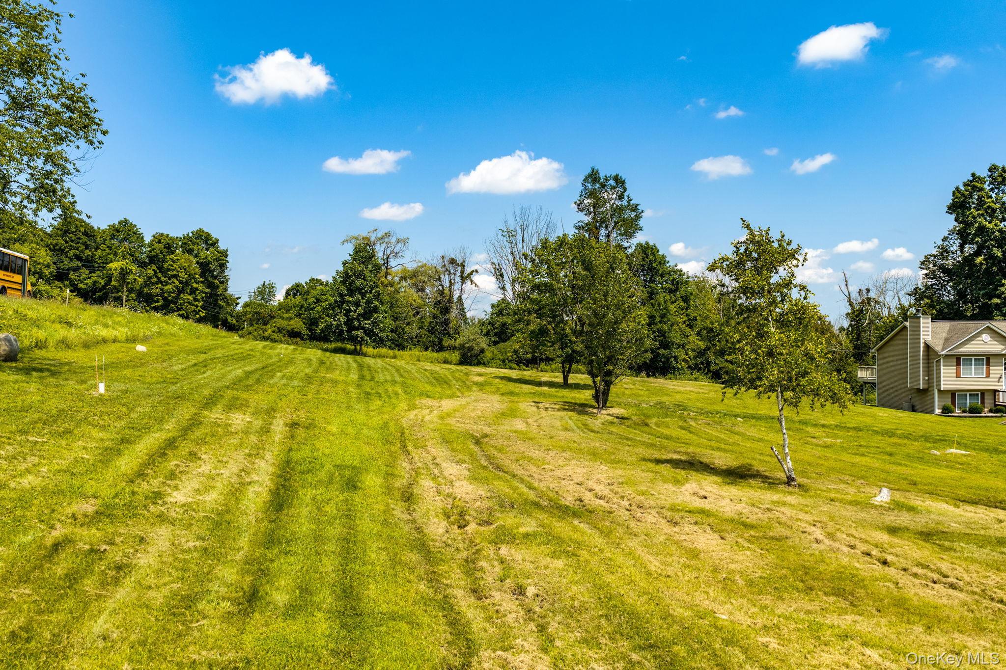 Single Family Springbrook Road  Orange County, NY 12771, MLS-1036947-42