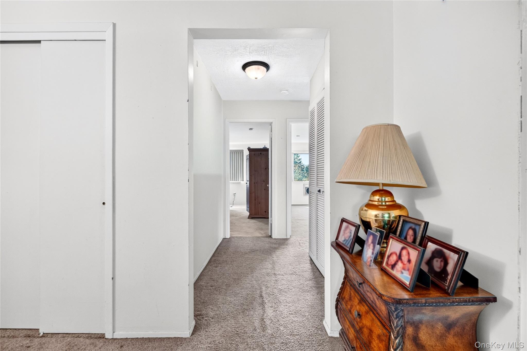 Condo Richard Court  Rockland County, NY 10970, MLS-1037019-22