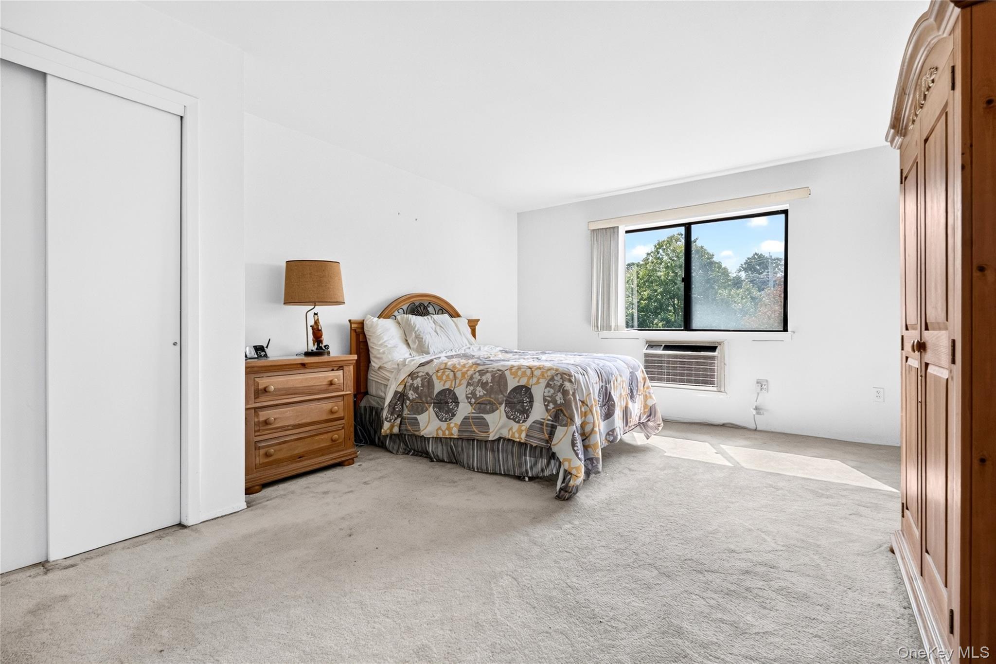 Condo Richard Court  Rockland County, NY 10970, MLS-1037019-23
