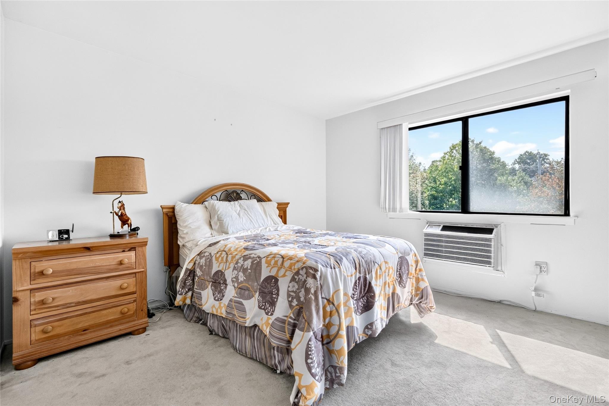Condo Richard Court  Rockland County, NY 10970, MLS-1037019-24