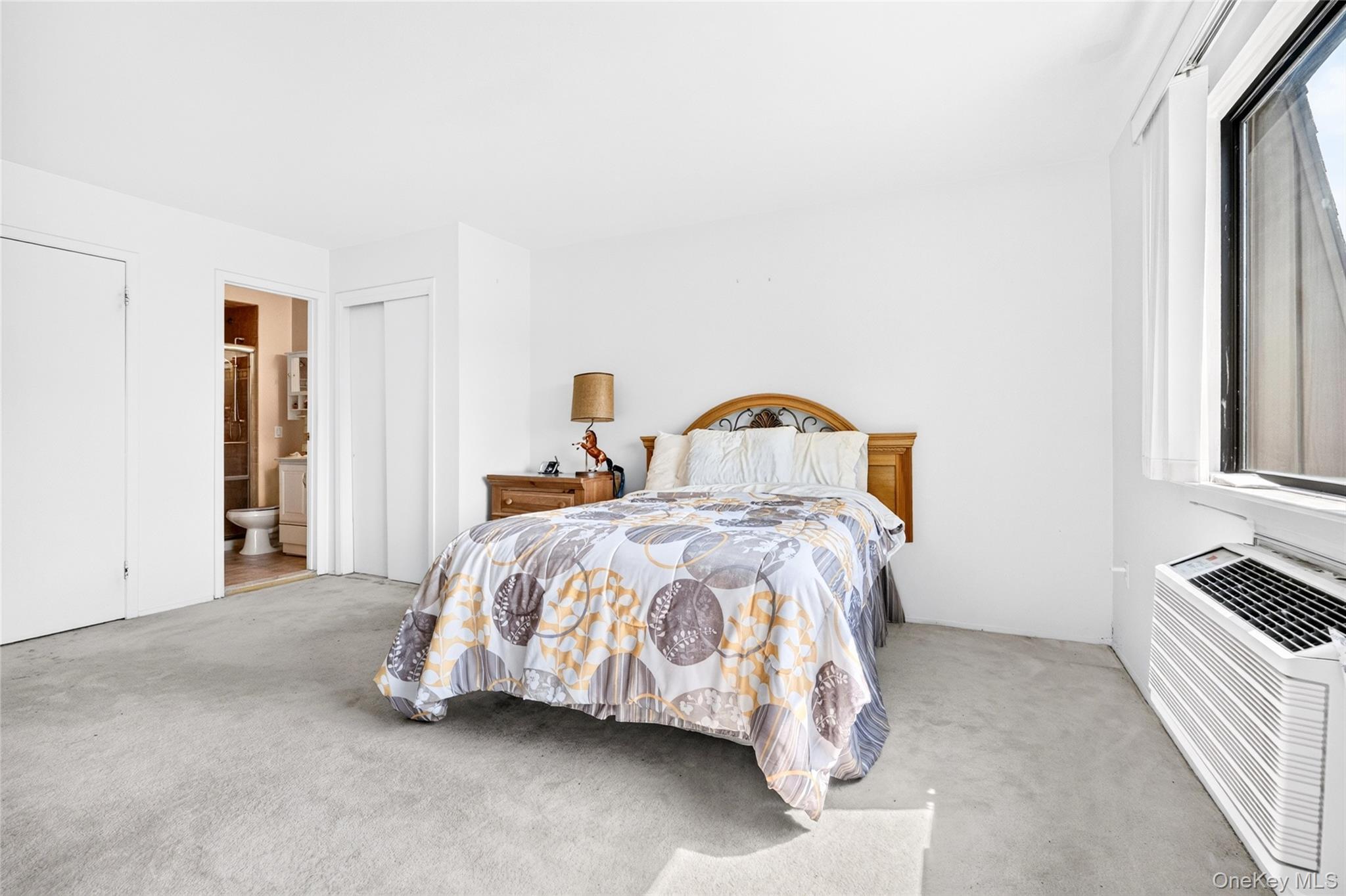 Condo Richard Court  Rockland County, NY 10970, MLS-1037019-25