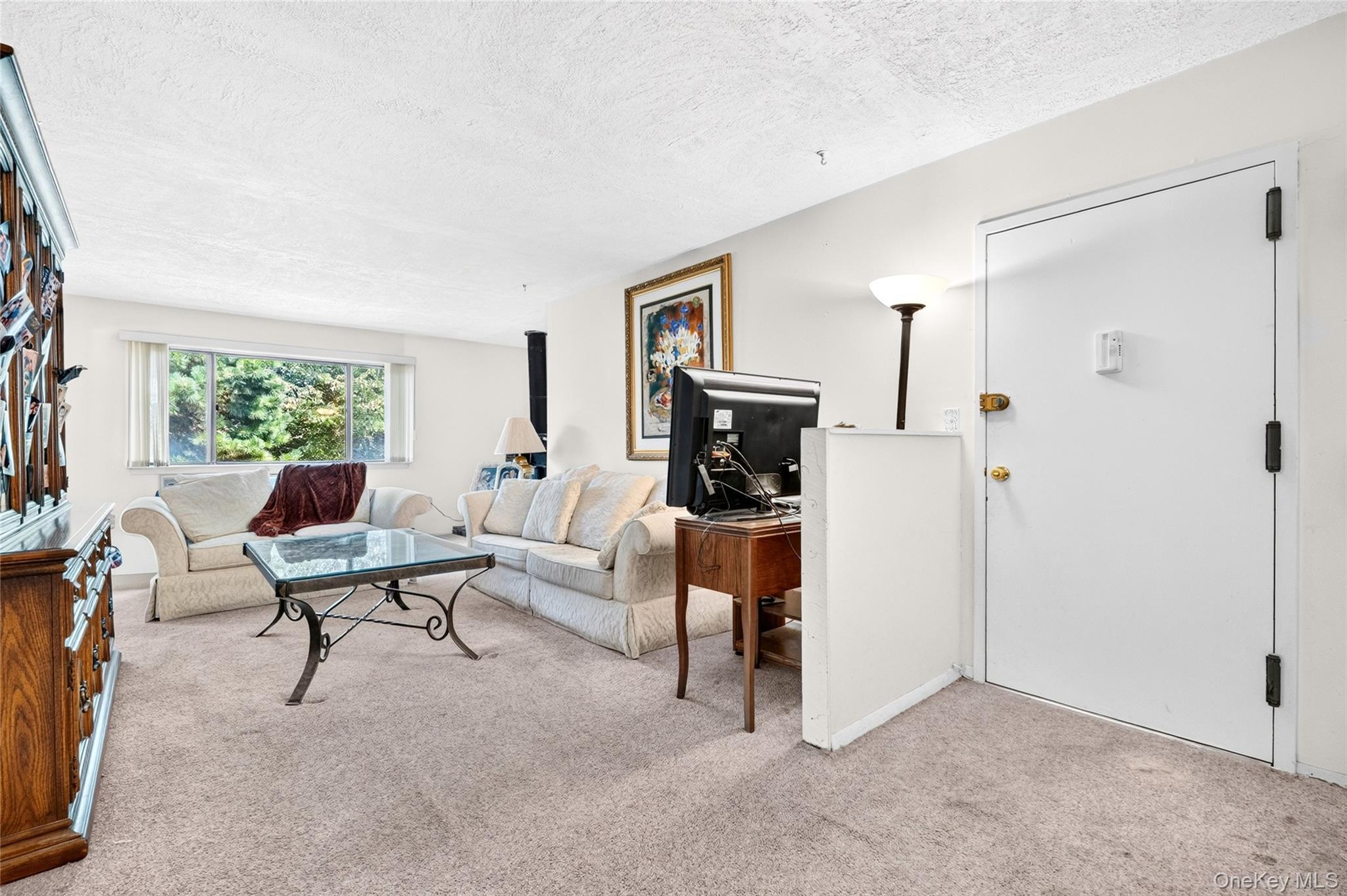 Condo Richard Court  Rockland County, NY 10970, MLS-1037019-6