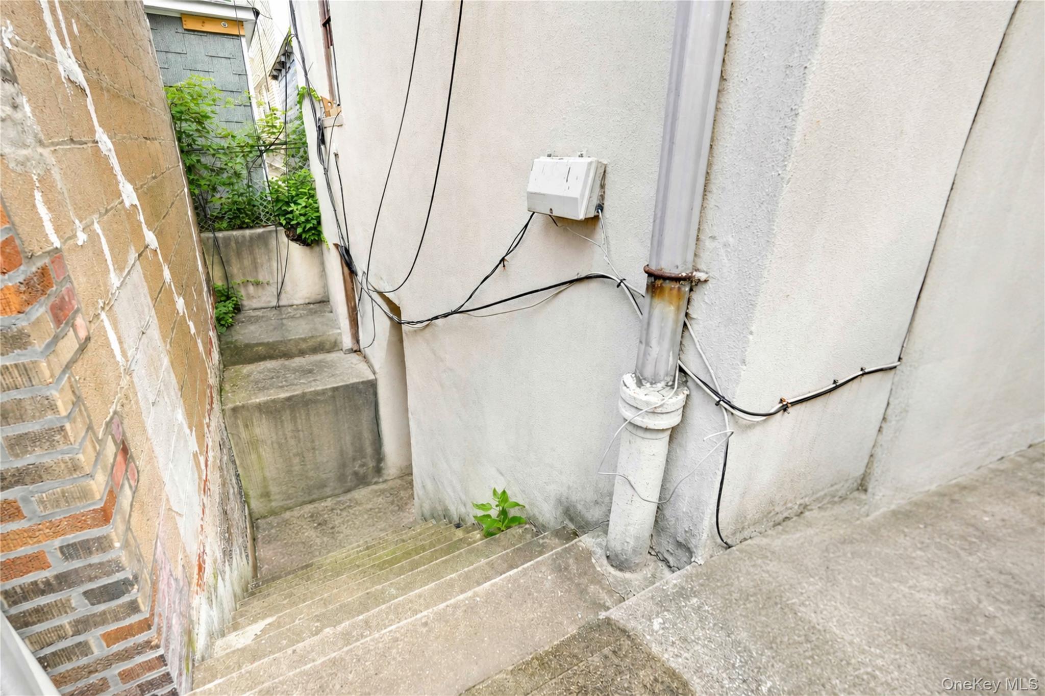 Single Family Myrtle Avenue  Queens, NY 11385, MLS-1037024-20