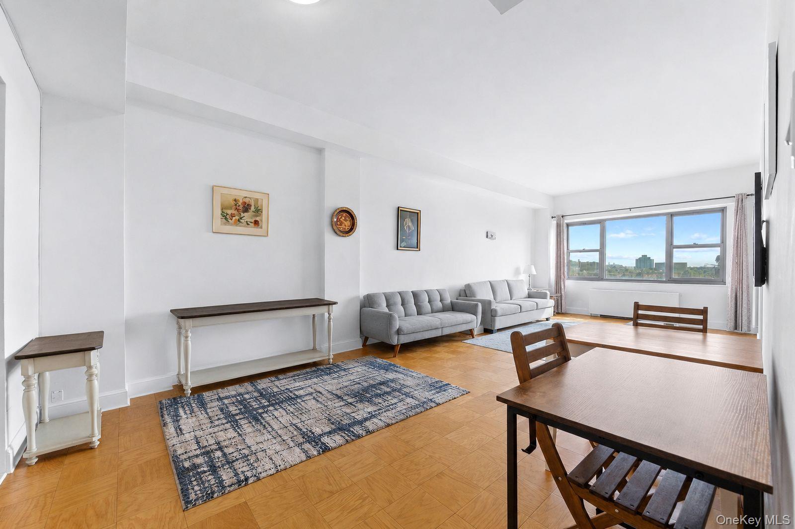Coop Grand Central Parkway  Queens, NY 11375, MLS-1037030-9