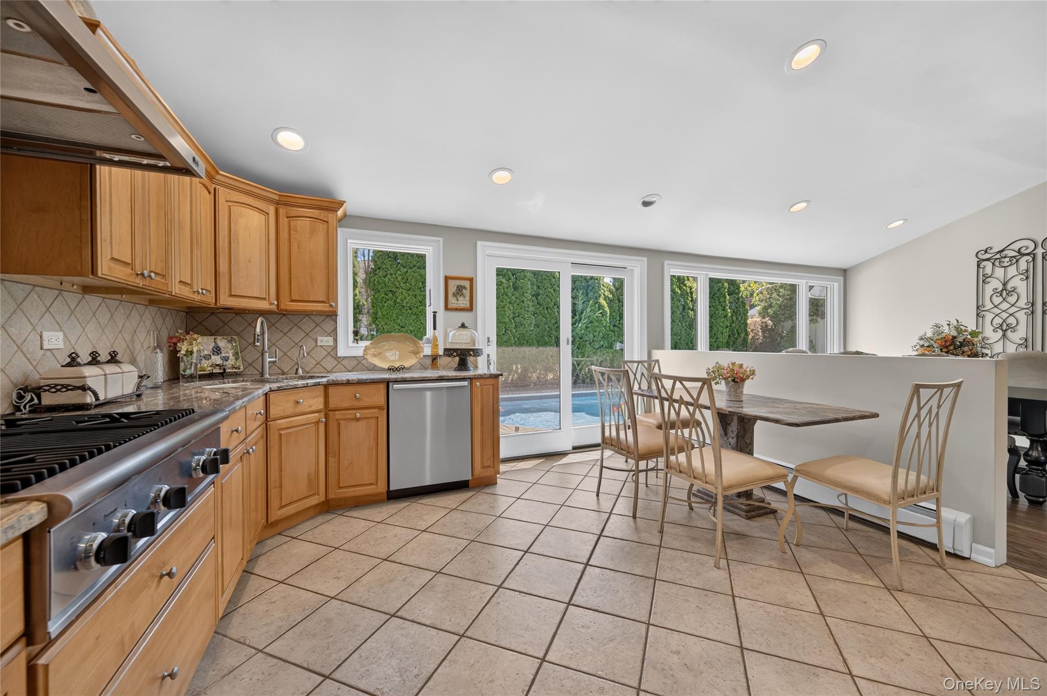 Single Family Ryan Court Nassau County, NY 11791, MLS-1037062-9