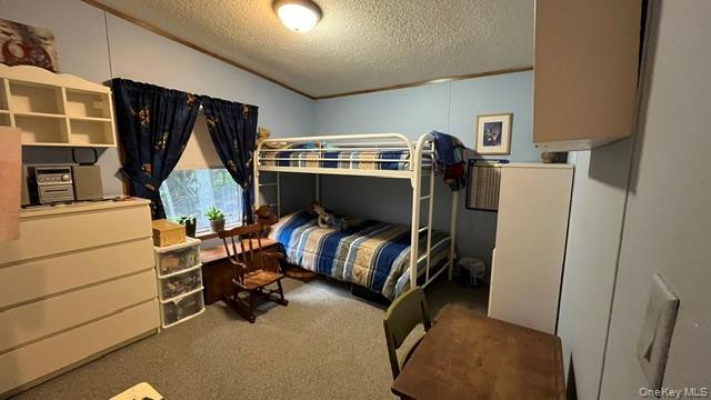 Single Family Traverse Road  Out Of Area, NY 18328, MLS-1037068-33
