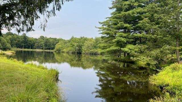 Single Family Traverse Road  Out Of Area, NY 18328, MLS-1037068-48