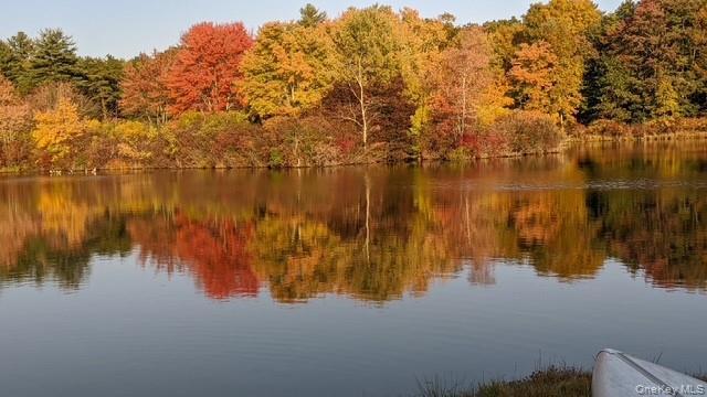 Single Family Traverse Road  Out Of Area, NY 18328, MLS-1037068-49