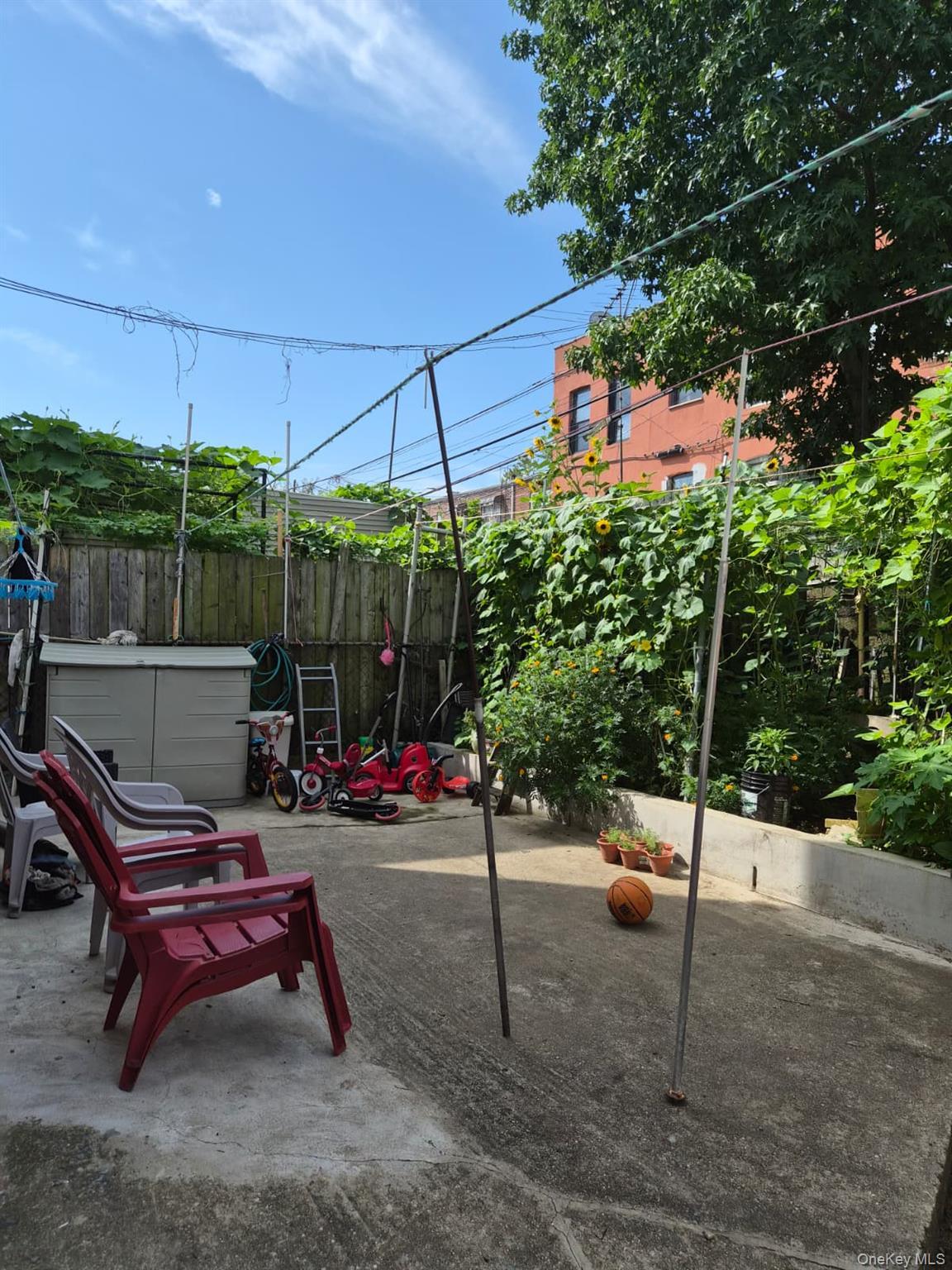 Single Family Virginia Avenue Bronx, NY 10472, MLS-1037081-6