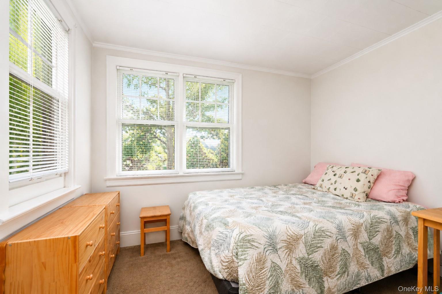 Single Family Osborn Avenue  Staten Island, NY 10308, MLS-1037144-20