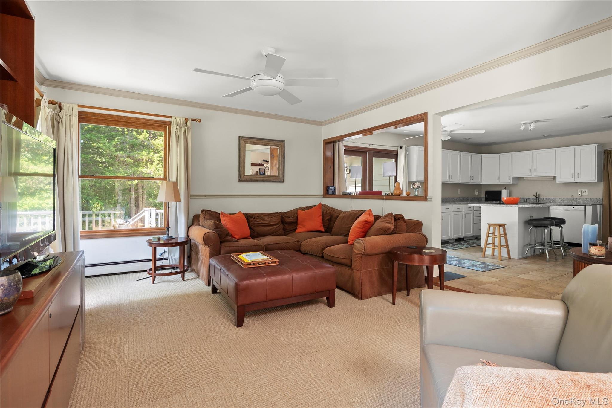 Single Family Old Sawmill Road  Columbia County, NY 12526, MLS-1037152-13