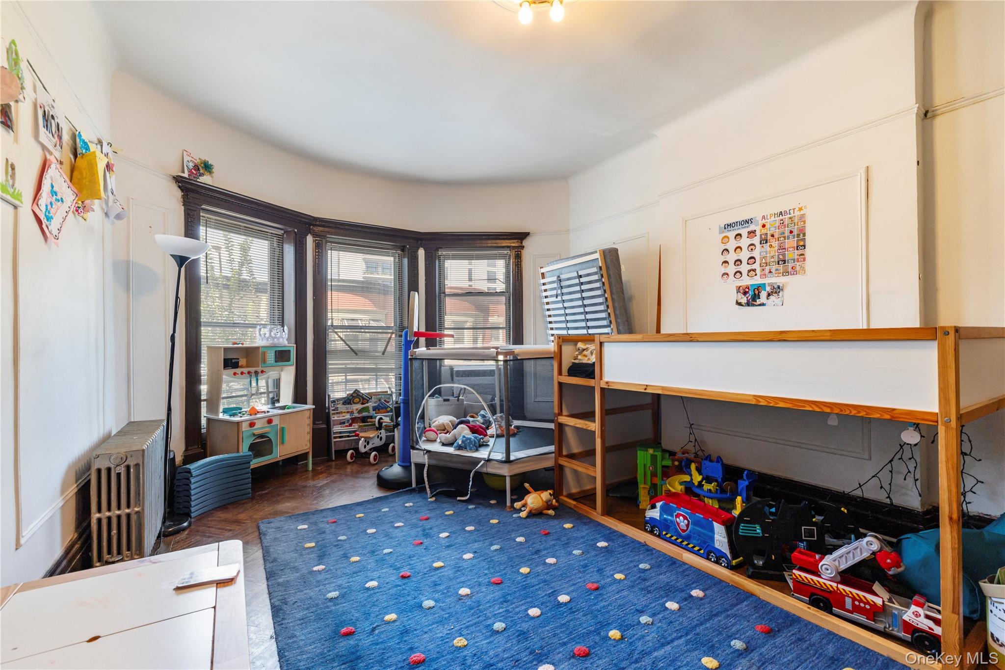 Single Family Lincoln Place Brooklyn, NY 11213, MLS-1037164-12