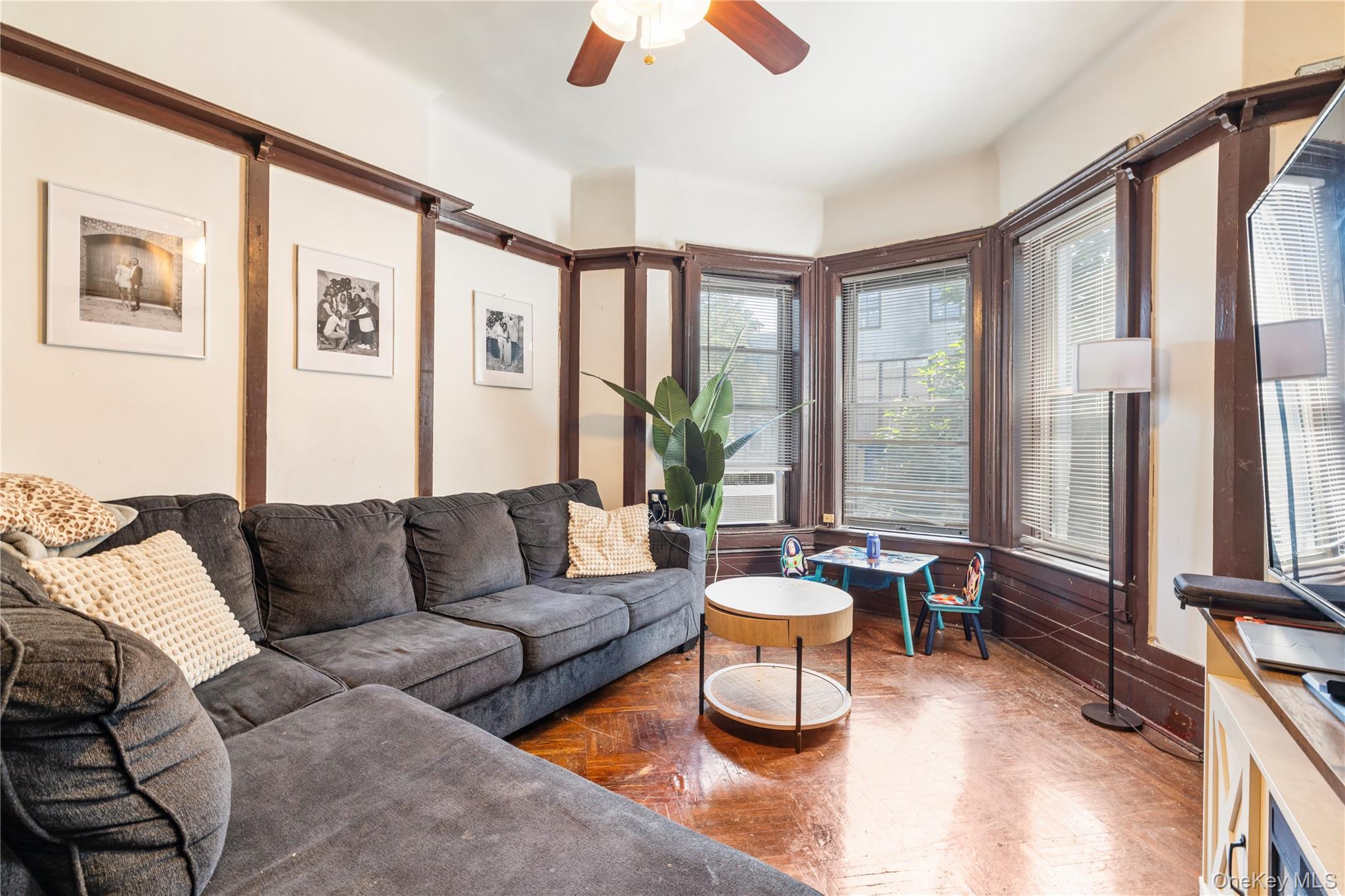 Single Family Lincoln Place Brooklyn, NY 11213, MLS-1037164-15