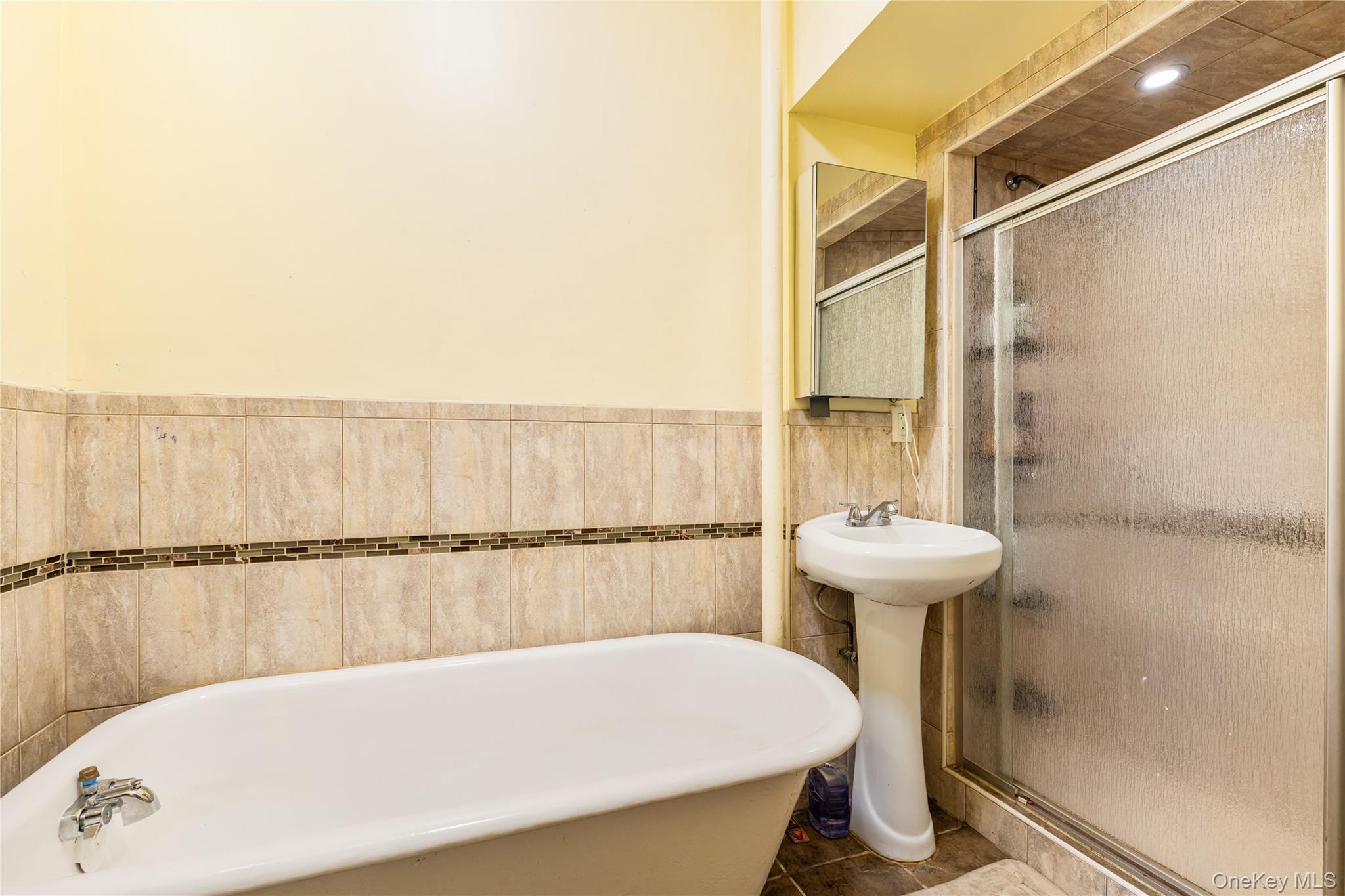 Single Family Lincoln Place Brooklyn, NY 11213, MLS-1037164-17
