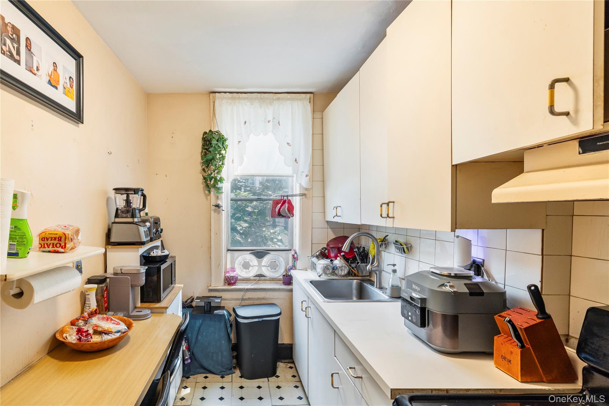 Single Family Lincoln Place Brooklyn, NY 11213, MLS-1037164-18