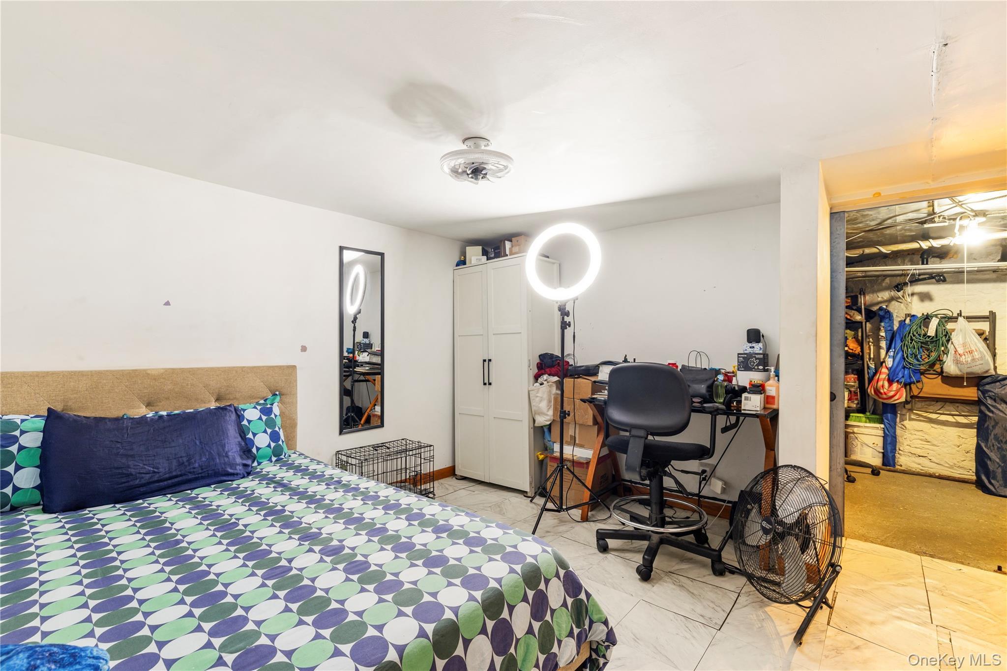 Single Family Lincoln Place Brooklyn, NY 11213, MLS-1037164-20