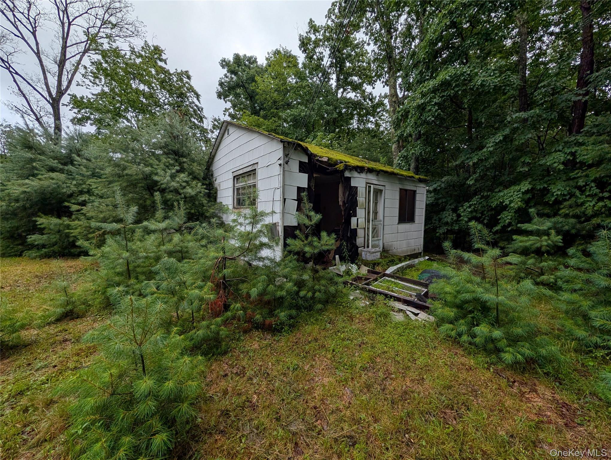 Single Family Summer Street Sullivan County, NY 12790, MLS-1037199-8