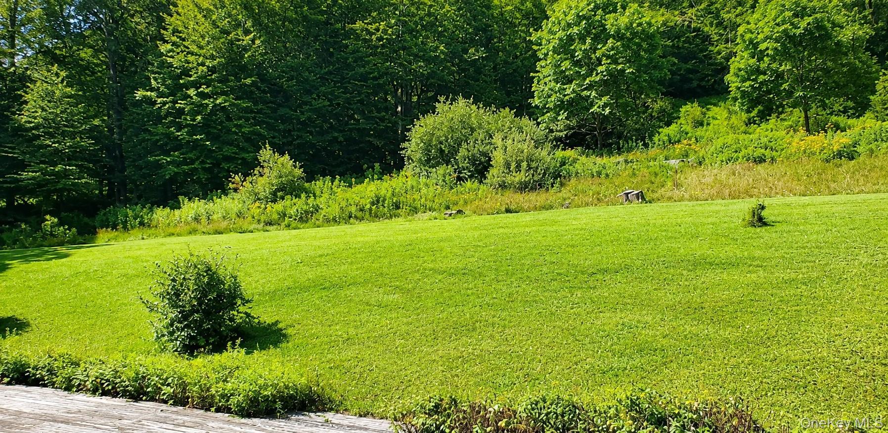 Single Family Mongaup Road Sullivan County, NY 12747, MLS-1037206-25