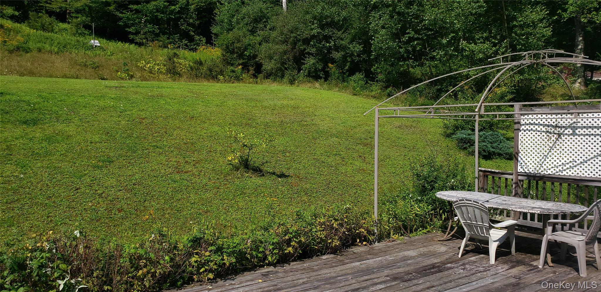 Single Family Mongaup Road Sullivan County, NY 12747, MLS-1037206-27