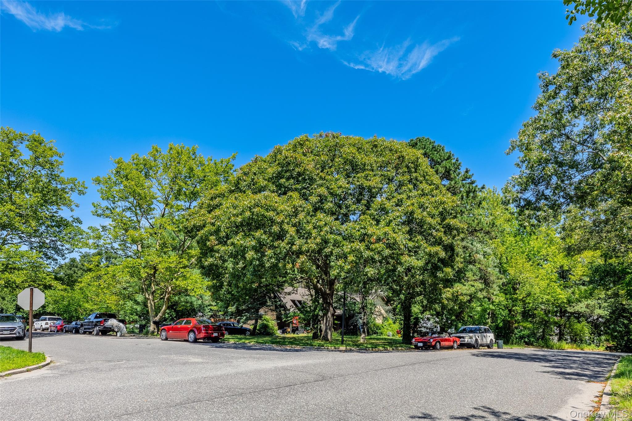 Single Family Gaton Lane  Suffolk County, NY 11727, MLS-1037234-4