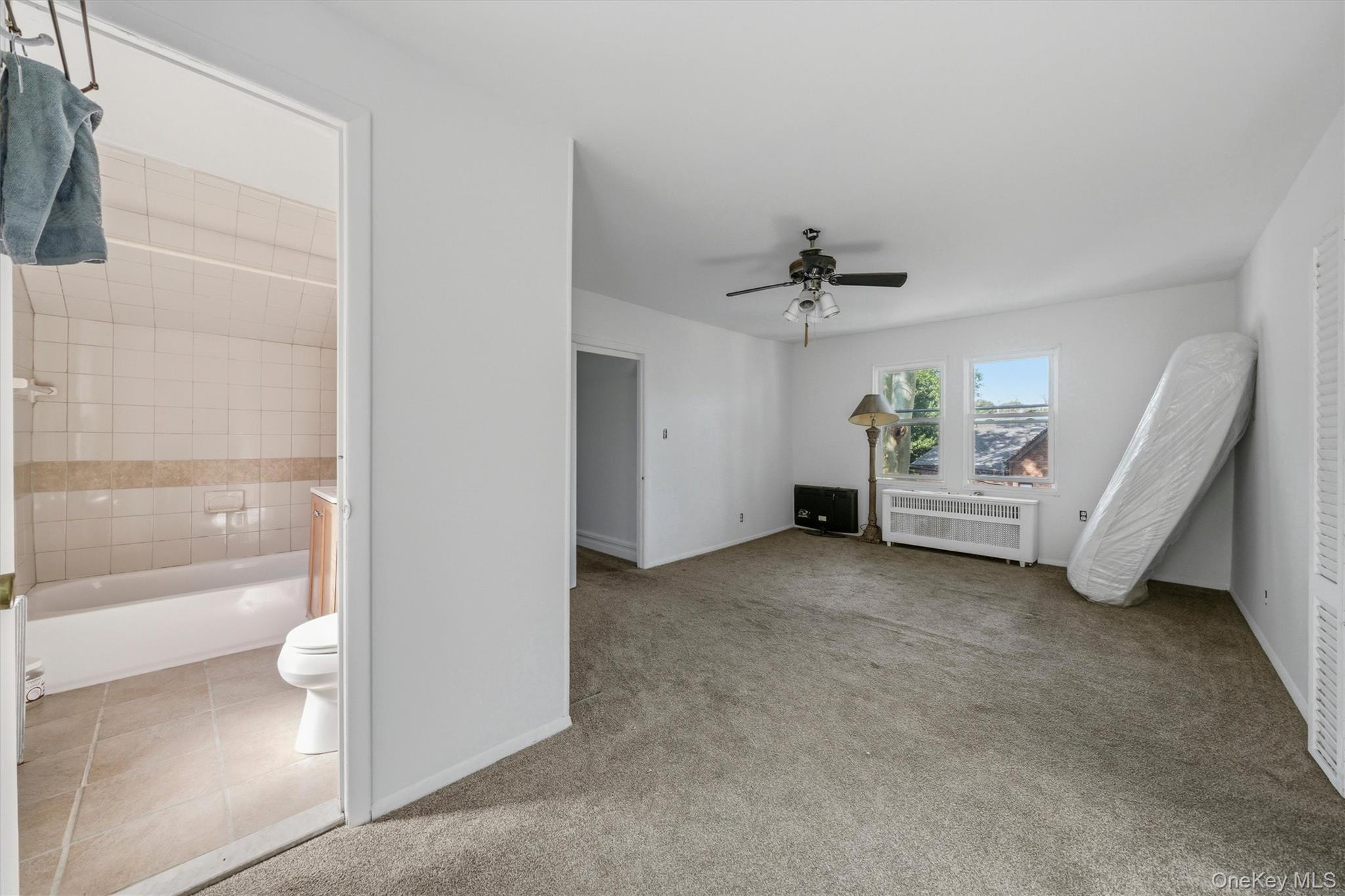 Single Family Morgan Avenue  Bronx, NY 10469, MLS-1037243-28