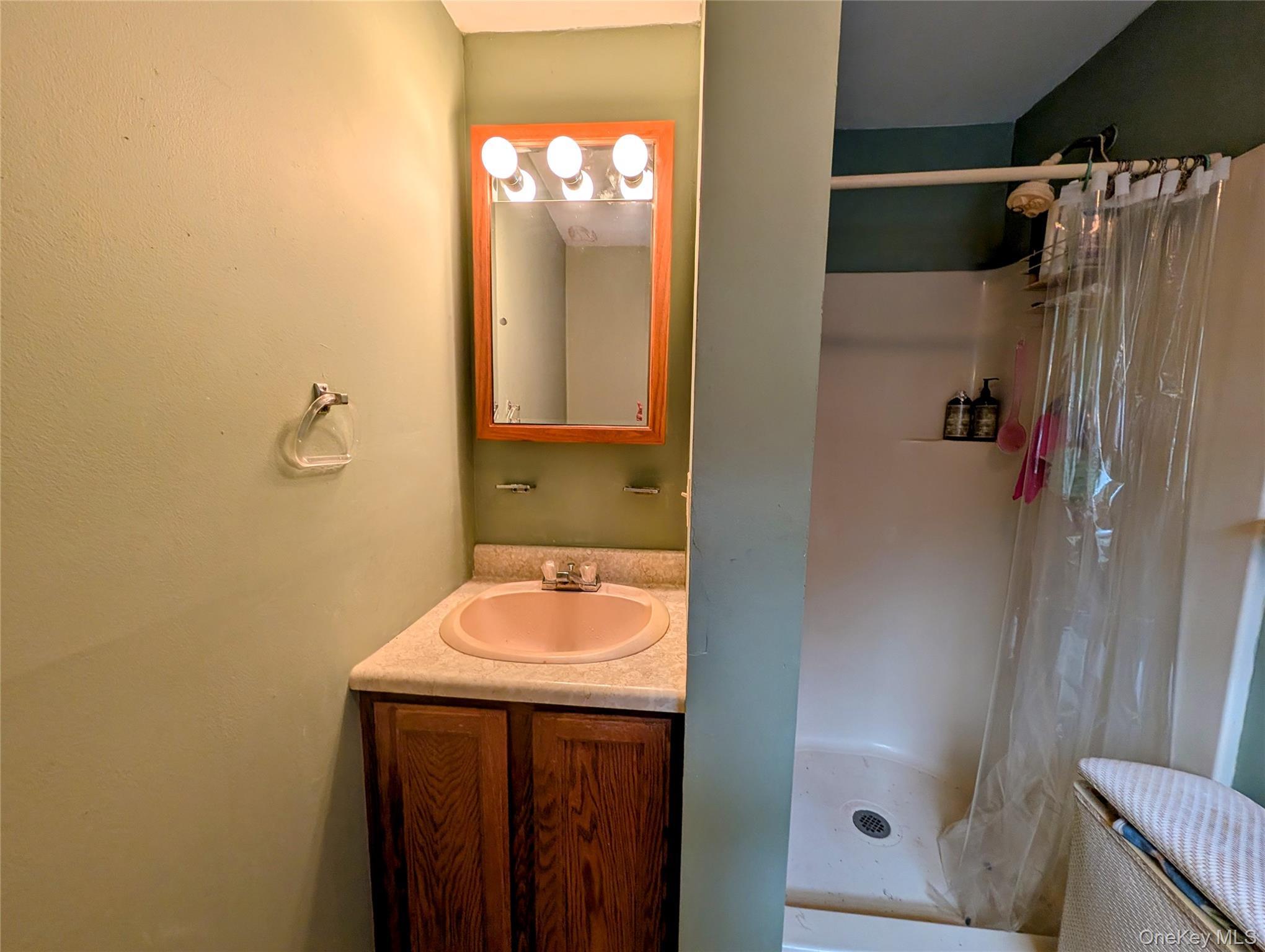 Single Family Murphy Road  Sullivan County, NY 12783, MLS-1037274-12