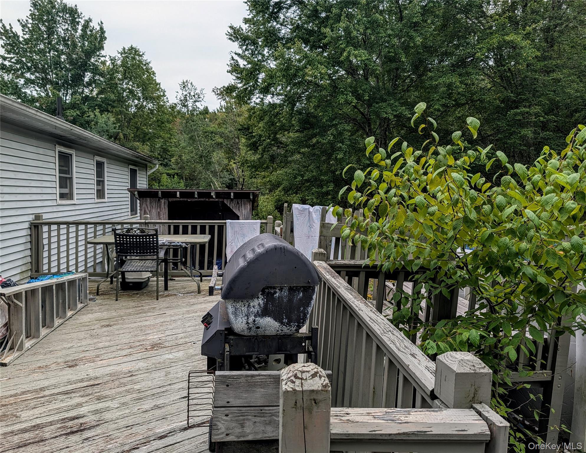 Single Family Murphy Road  Sullivan County, NY 12783, MLS-1037274-21