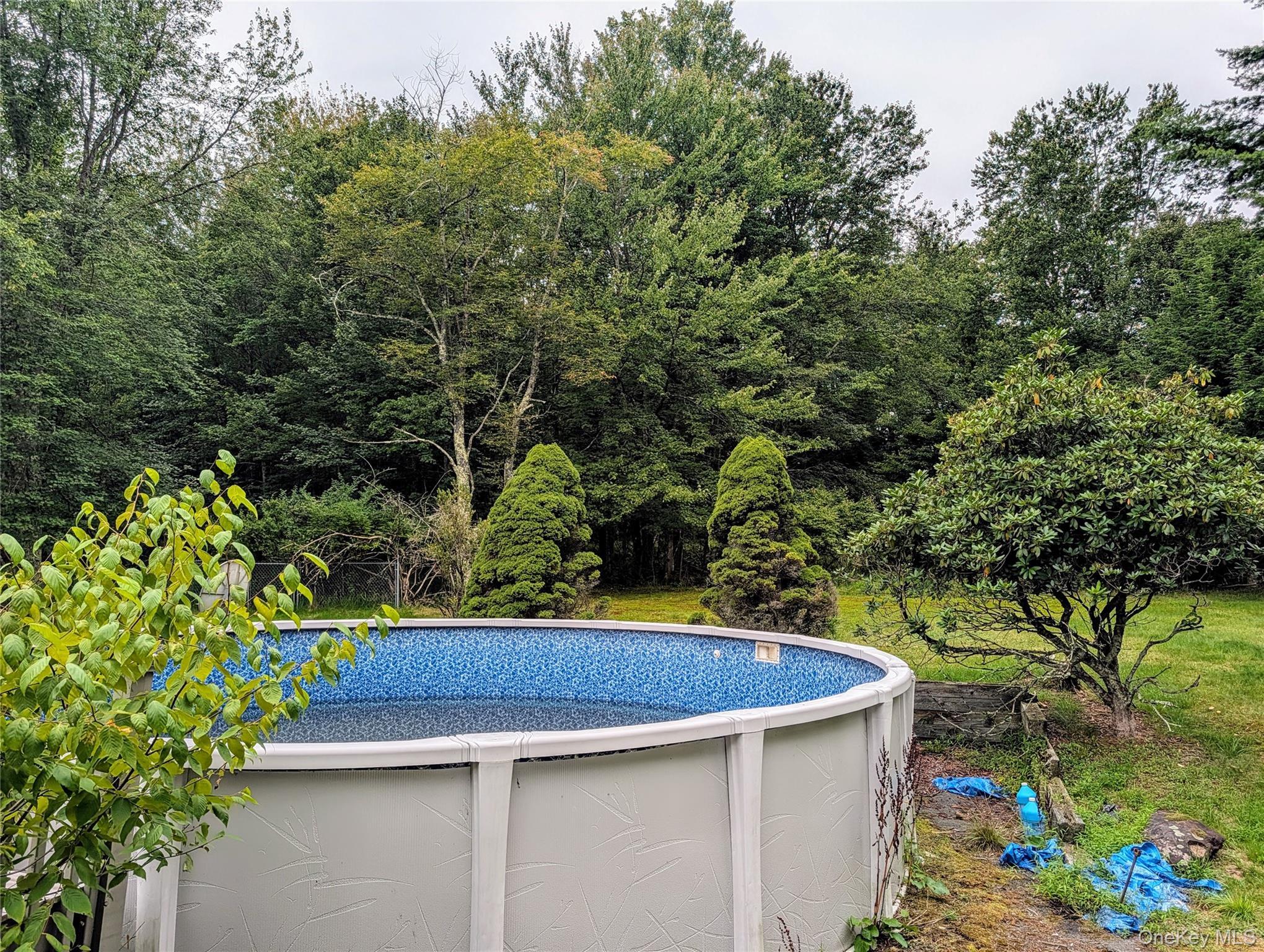 Single Family Murphy Road  Sullivan County, NY 12783, MLS-1037274-22