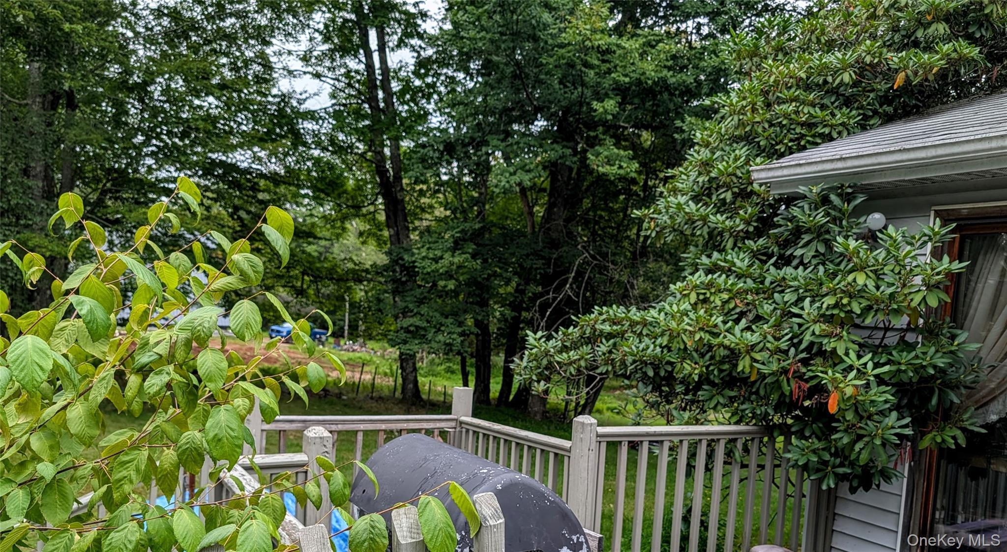 Single Family Murphy Road  Sullivan County, NY 12783, MLS-1037274-23