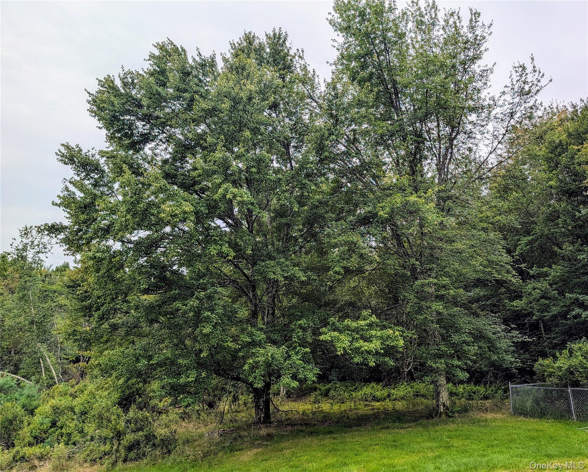 Single Family Murphy Road  Sullivan County, NY 12783, MLS-1037274-26