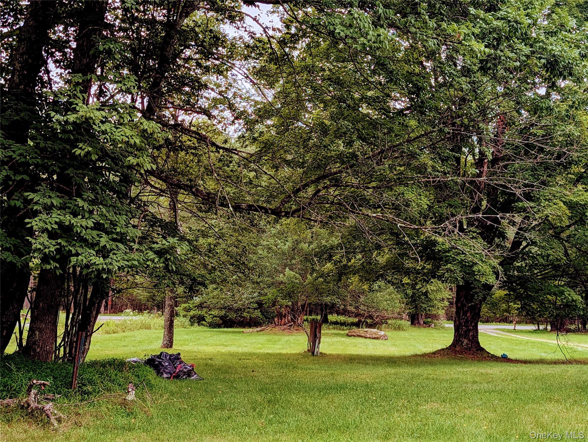 Single Family Murphy Road  Sullivan County, NY 12783, MLS-1037274-27