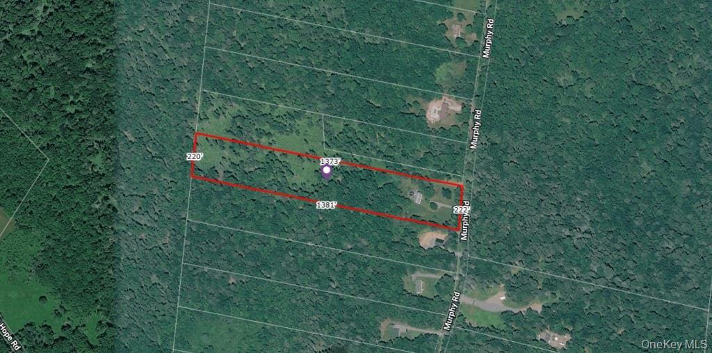 Single Family Murphy Road  Sullivan County, NY 12783, MLS-1037274-28