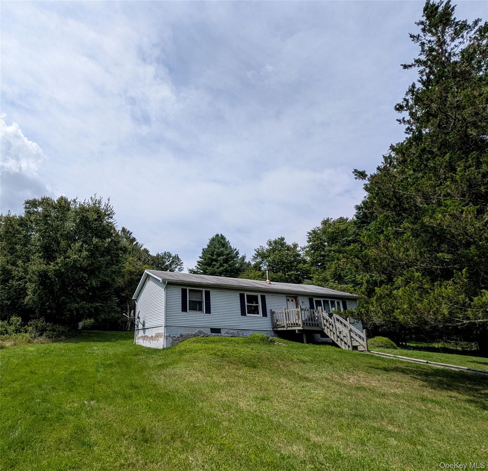 Single Family Murphy Road  Sullivan County, NY 12783, MLS-1037274-3