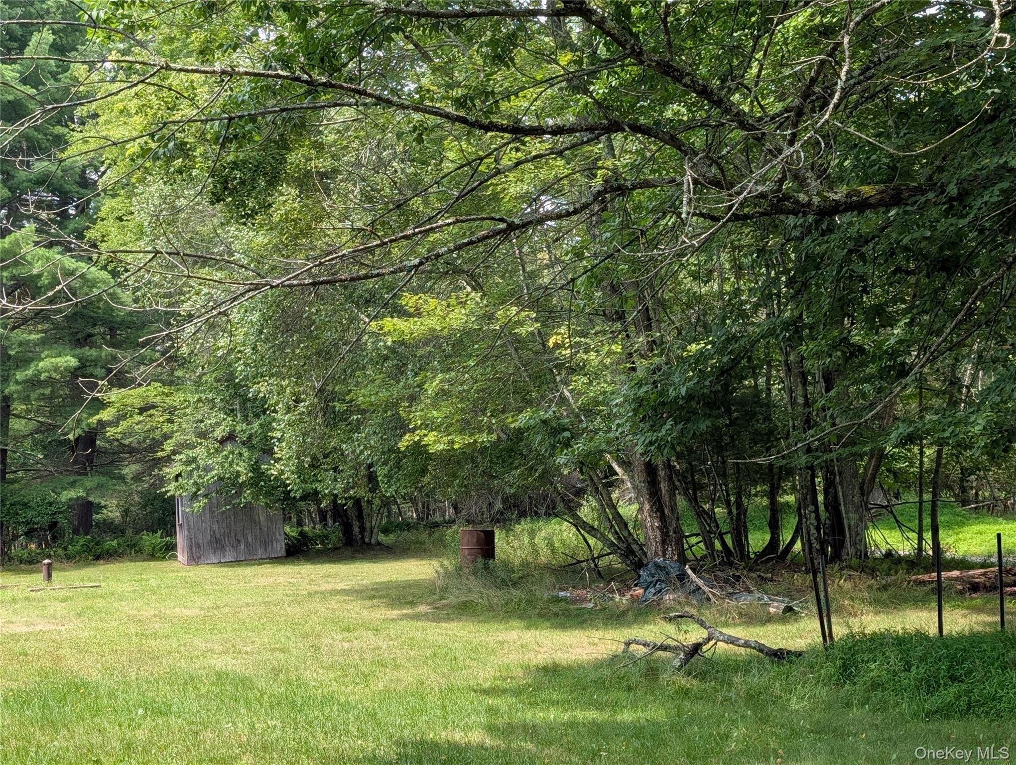 Single Family Murphy Road  Sullivan County, NY 12783, MLS-1037274-6