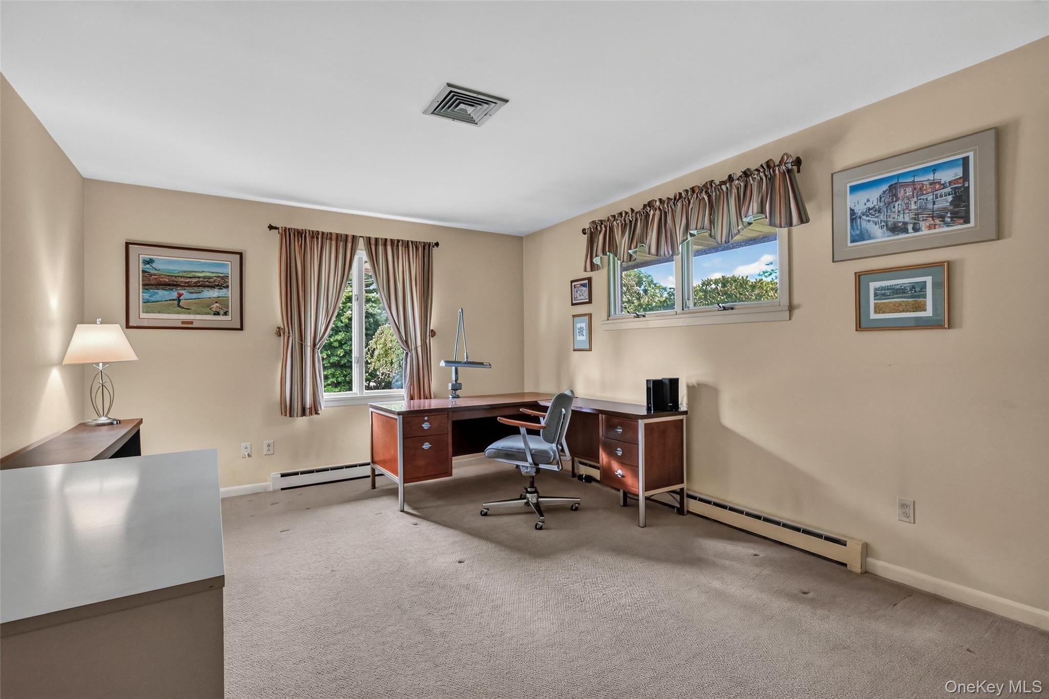 Single Family Susan Drive Orange County, NY 12550, MLS-1037281-24