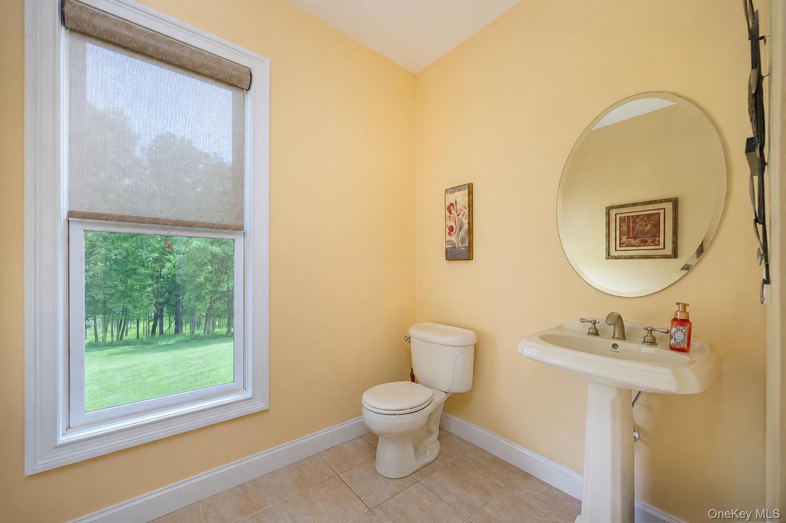 Single Family Nichris Lane  Dutchess County, NY 12580, MLS-1037356-17