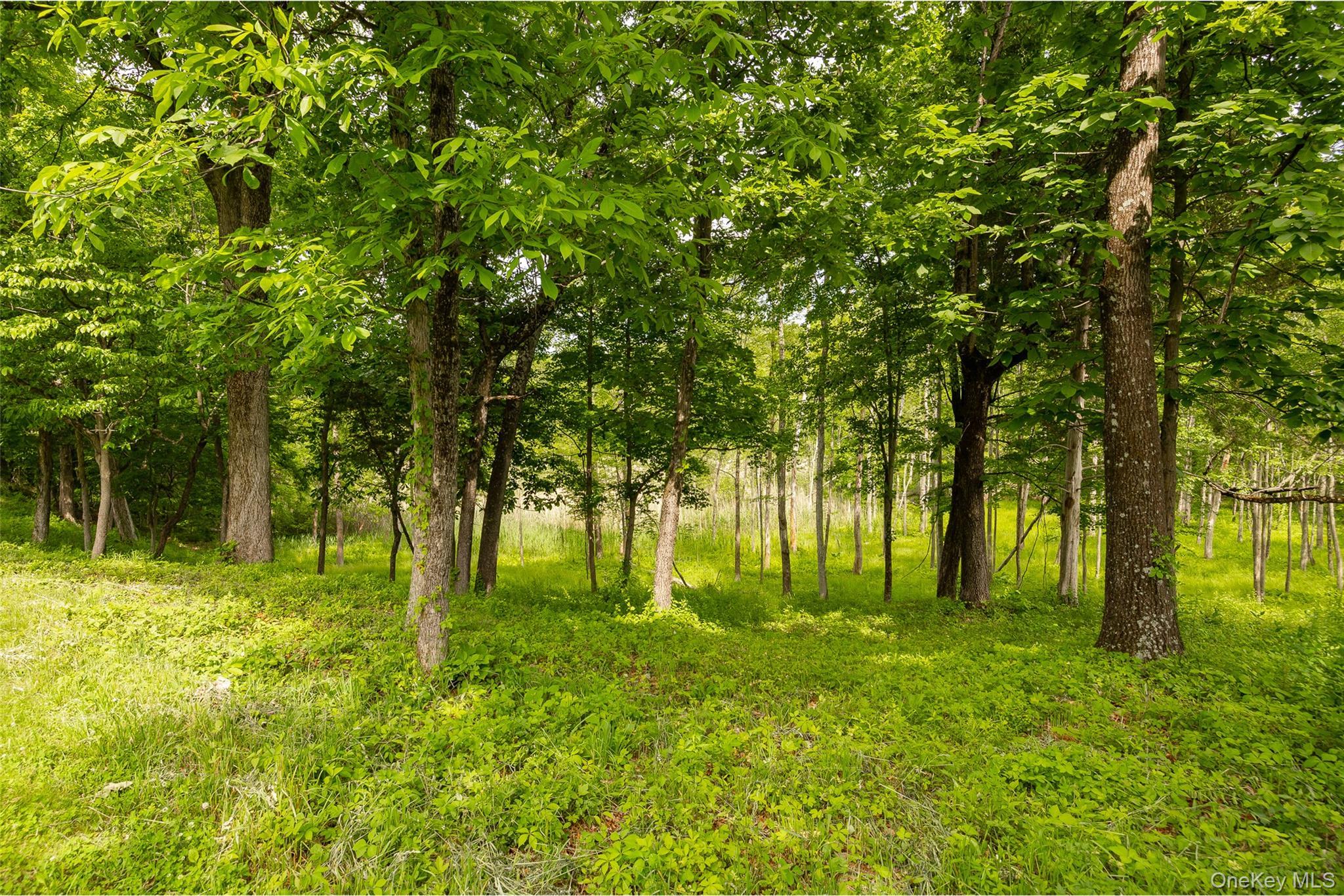 Single Family Nichris Lane  Dutchess County, NY 12580, MLS-1037356-41