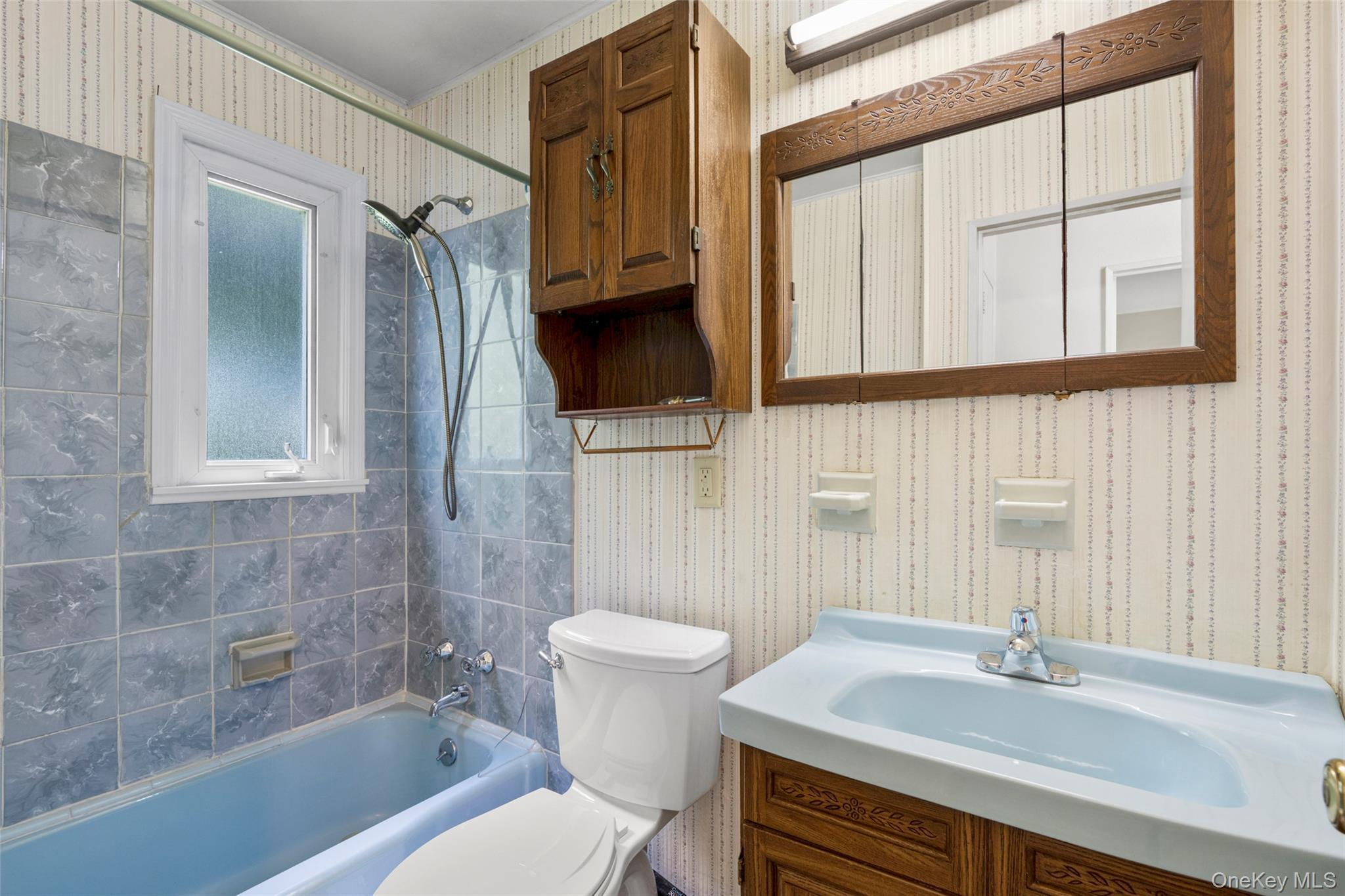 Single Family Rita Drive Westchester County, NY 10567, MLS-1037370-11