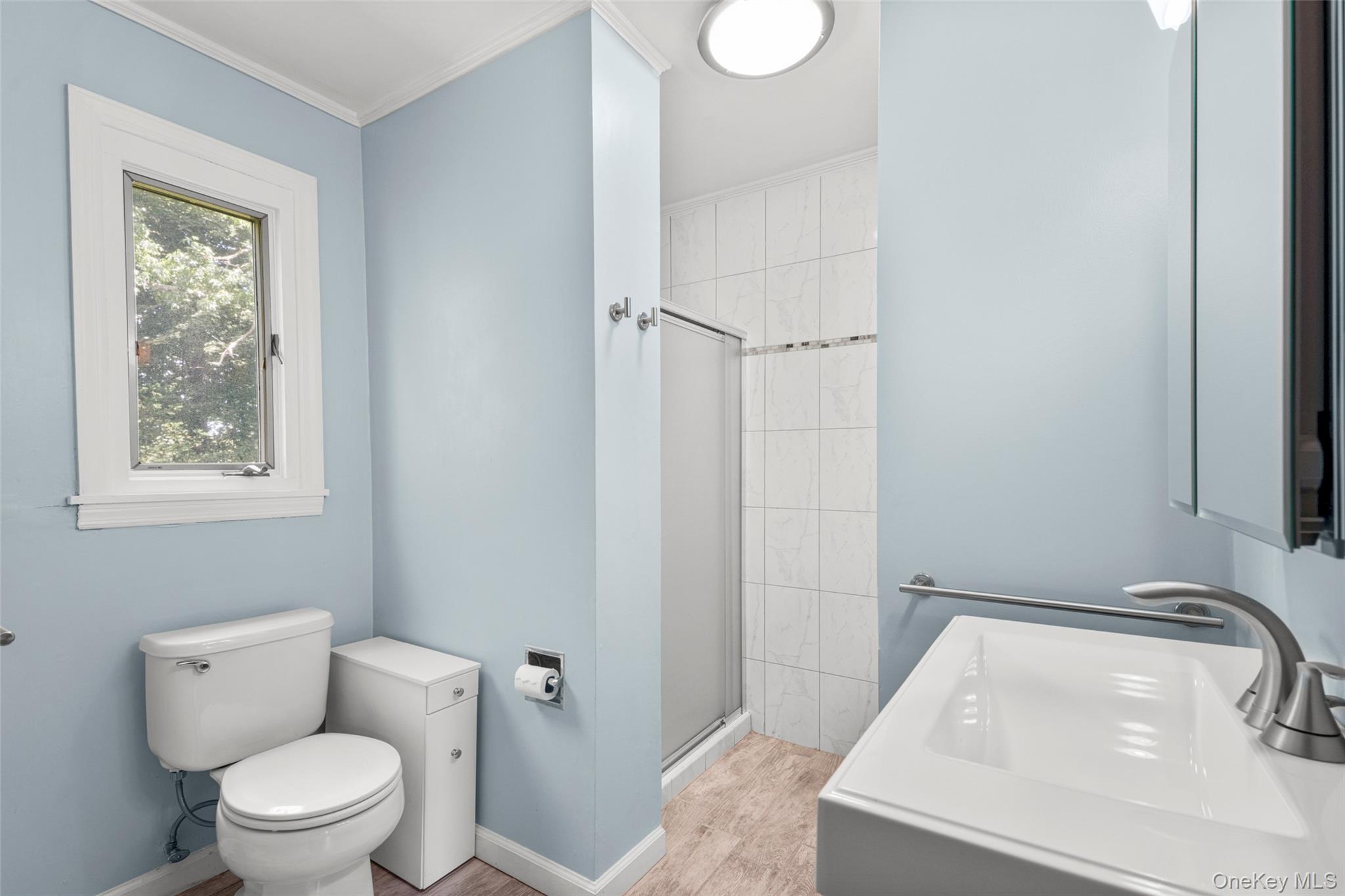 Single Family Rita Drive Westchester County, NY 10567, MLS-1037370-12