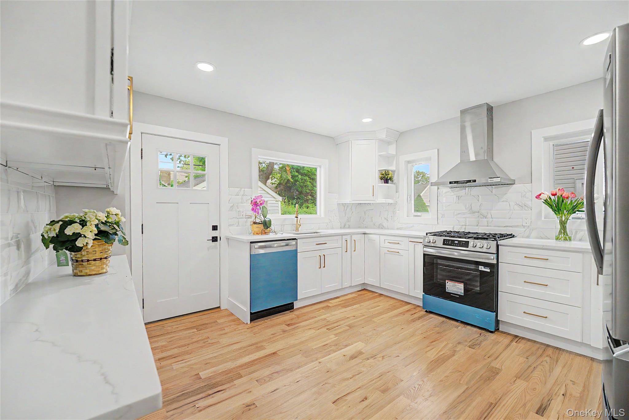 Single Family Moore Street Nassau County, NY 11040, MLS-1037390-11